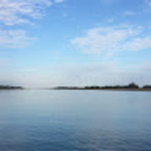 Meet your Posher, Sammy